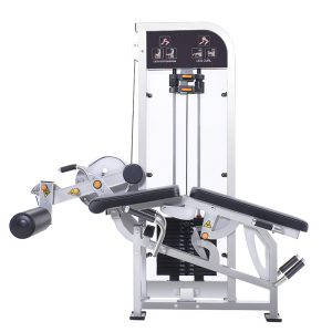 China commercial gym equipment wholesale supplier - Hongxing