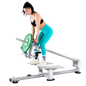 HX-059 T-bar Rowing Machine - Hongxing