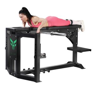 HX-063 Qdif tal-foki Iġbed lura Trainer - Hongxing