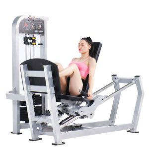 HX-611 Seated Leg Press - Hongxing