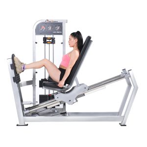 HX-611 Naglingkod nga Leg Press - Hongxing