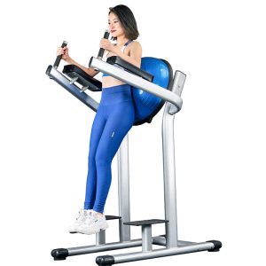 HX-S-3 Parallel Bar Knee Raise Trainer – Hongxing