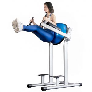 HX-S-3 Parallel Bar Knee Raise Trainer - Hongxing